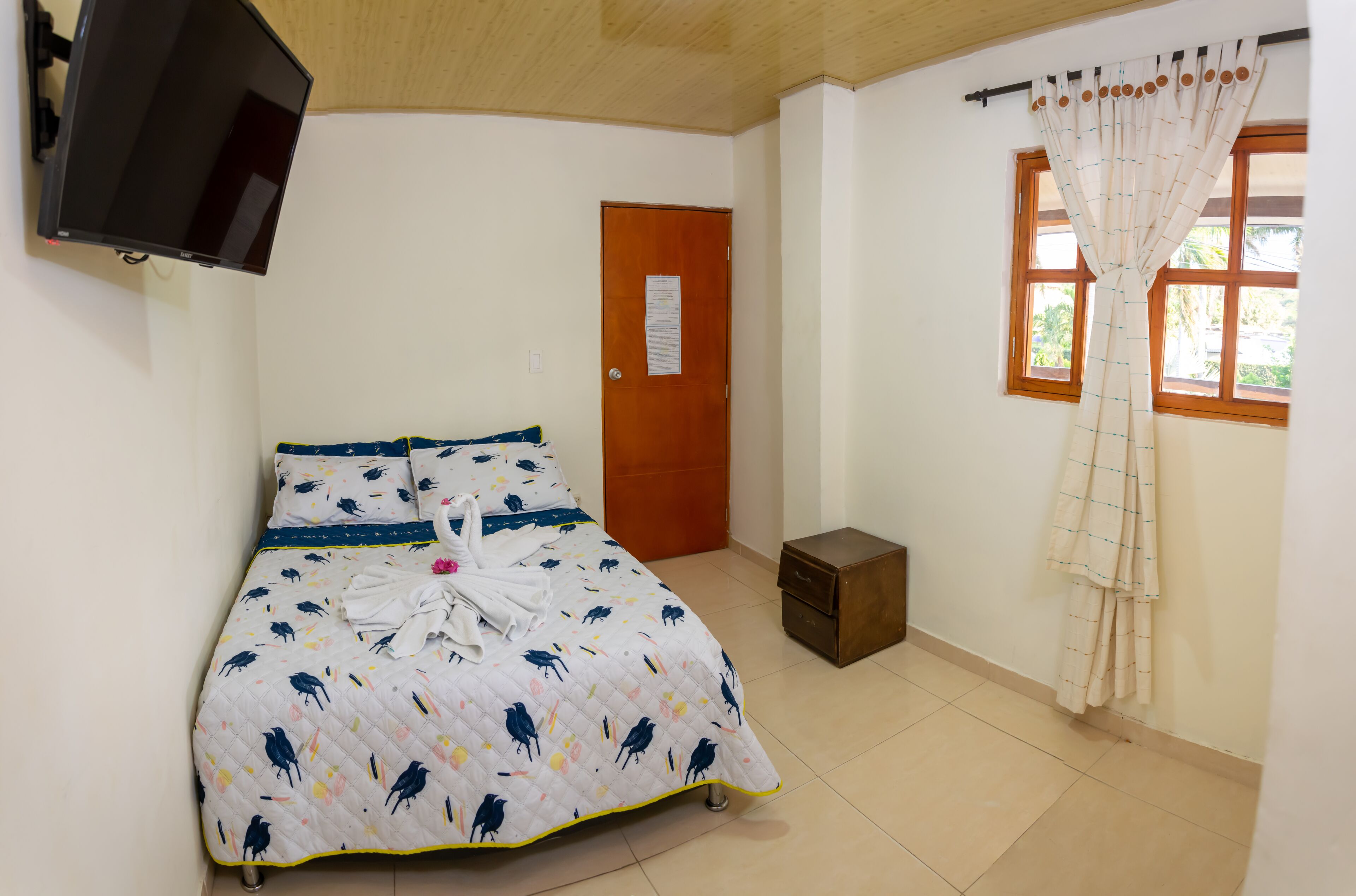 Photo - Hotel The Dolphin