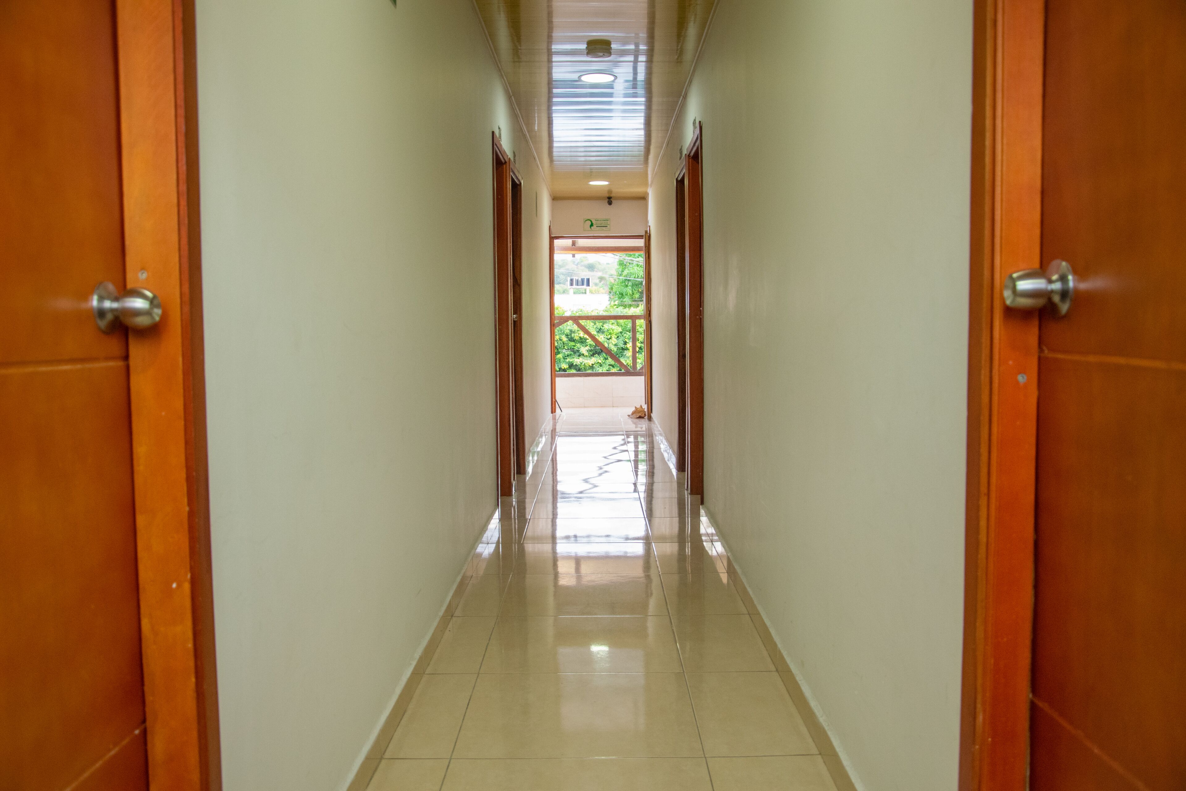 Photo - Hotel The Dolphin