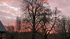 Un jardín arbolado con un banco y sillas, un edificio de piedra y un cielo al atardecer.