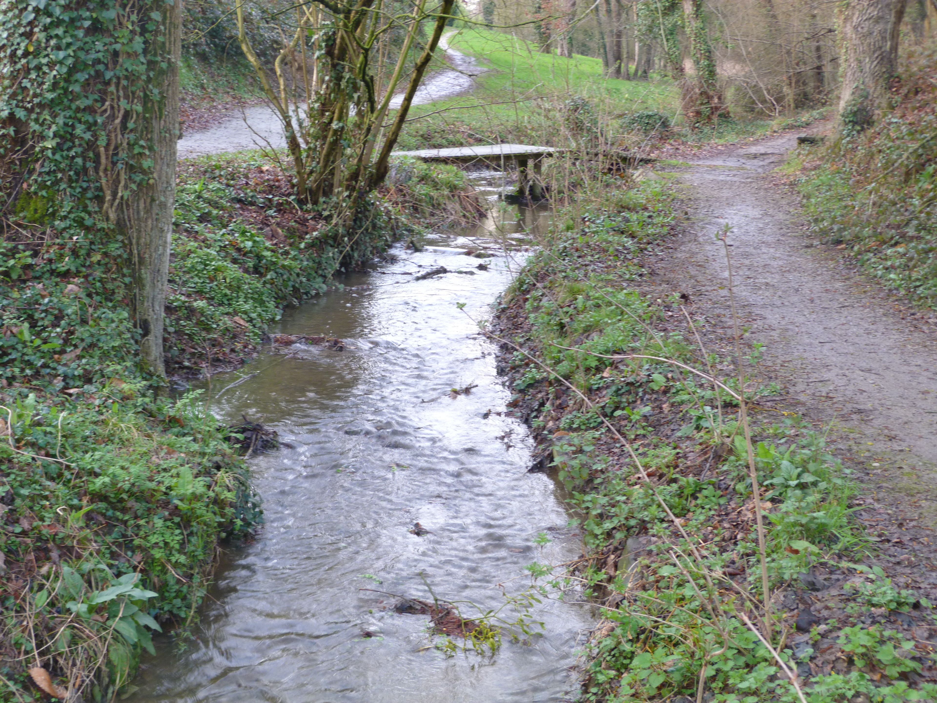 Un arroyo estrecho con un puente, rodeado de follaje y árboles.