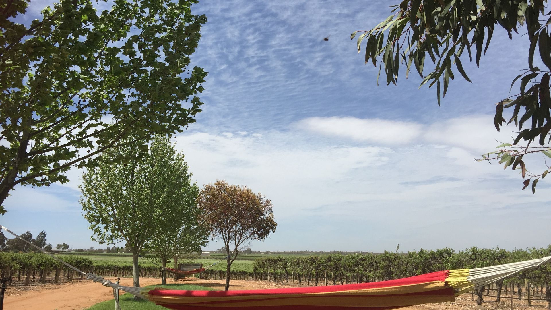 The Picker's Hut - Peaceful vineyard setting — image 3