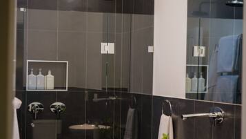 Combined shower/bathtub, hair dryer, towels, soap
