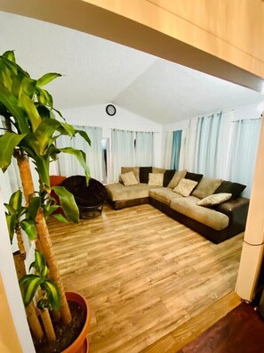 Fernseher