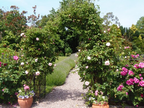 Haushälterin, 4/5 Personen, charakteristisches, strahlendes Anwesen in der Nähe der Quantock Hills.