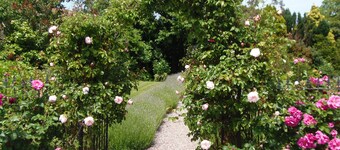 Husholdere, soveplass til 4/5, karakteristiske, strålte eiendommer i nærheten av Quantock Hills.