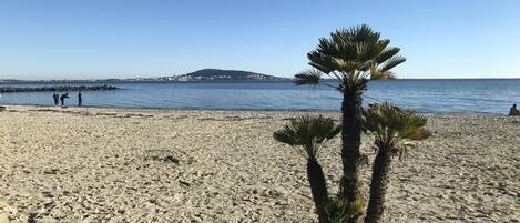 Sun loungers, beach towels