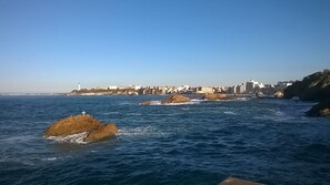 Beach - Modern house located between sea and mountains, ideal for discovering the region (Saint-Pierre-D'irube)
