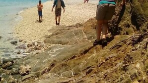 Escena de playa con terreno rocoso y agua cristalina.