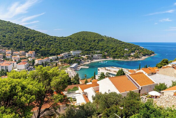 Unclassified image, 1 of 25, button