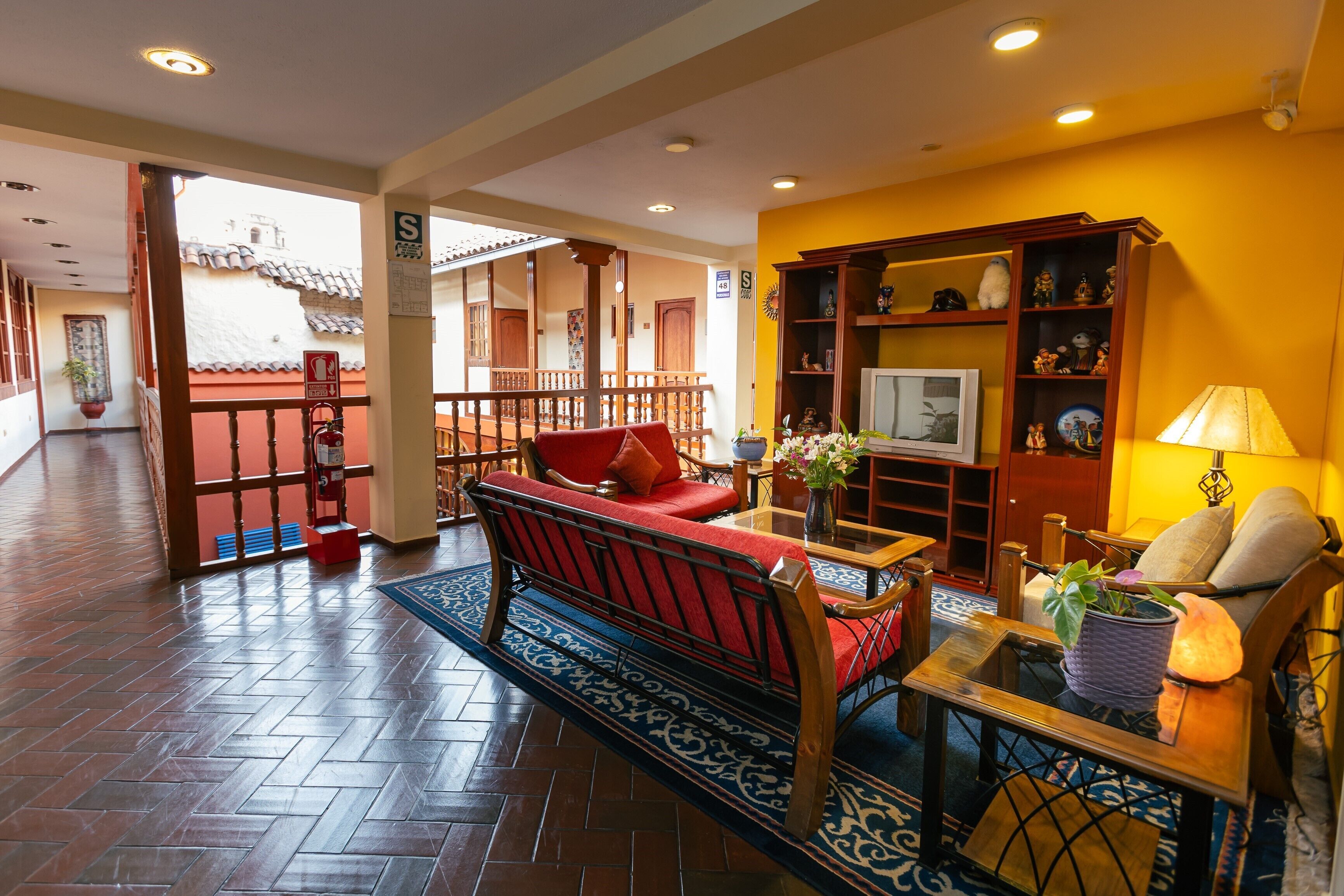 Televisión y libros 