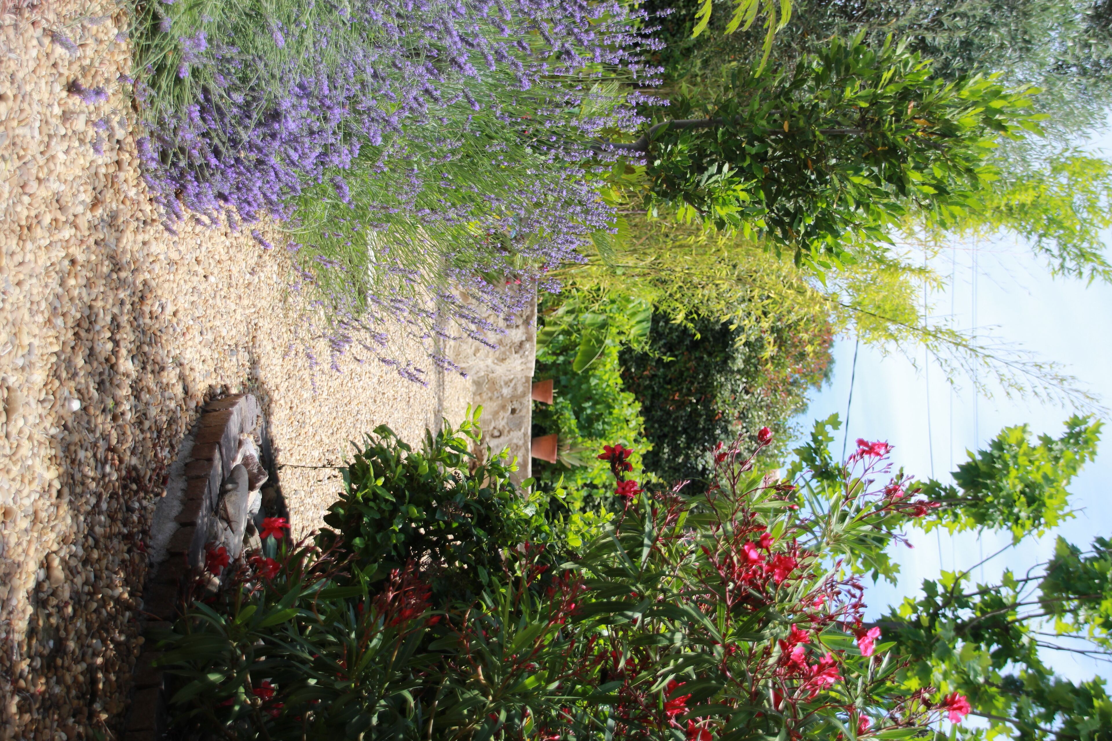 A garden with lavender and red flowers, a stone wall, and a variety of greenery.