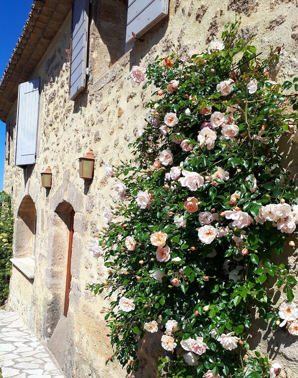 Détail de l’extérieur