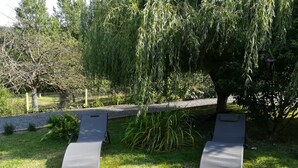 A garden with two lounge chairs under a weeping willow tree.