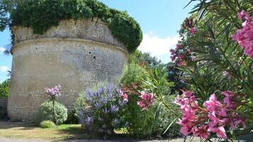 Terrein van de accommodatie