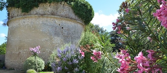 GĂźtes de St Hilaire - JASMIN