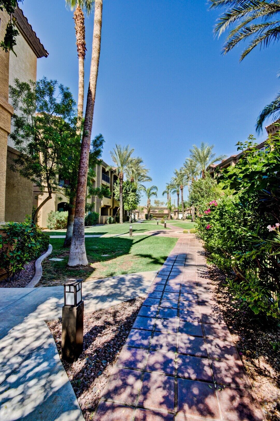 Terrain de l’hébergement 