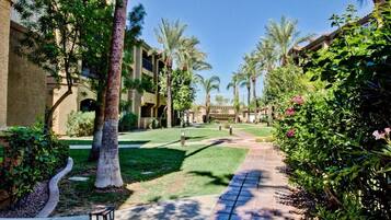 Àrea exterior de l'allotjament