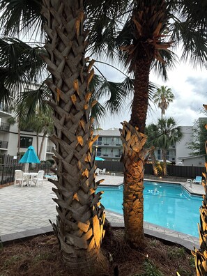 Indoor pool, outdoor pool