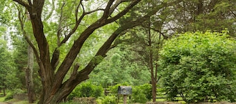 CEDAR LANE -   Private Cottage, Sophisticated Country Charm