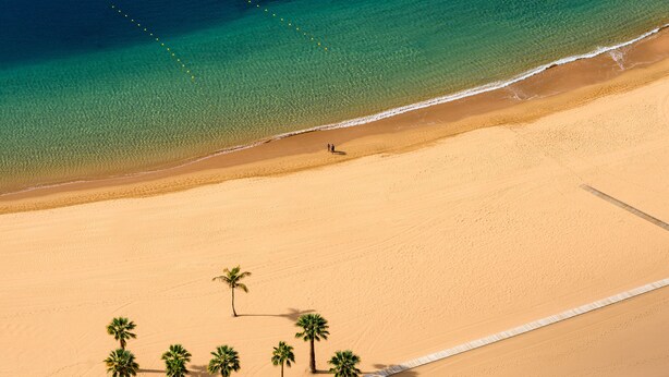 An aerial view of a beach with a clear demarcation line, palm trees, and a sandy area. - Luxury Villa del Duque in Chayofa, dream location, private pool, sea views, golf (Chayofa)