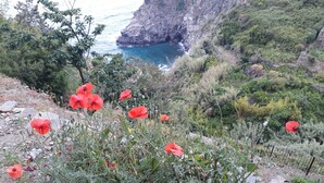 Un paisaje costero con amapolas rojas en primer plano y un acantilado rocoso con vegetación al fondo.