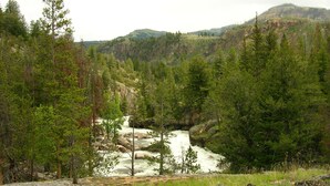 Un lecho rocoso con un río que fluye, rodeado de un bosque denso y colinas.