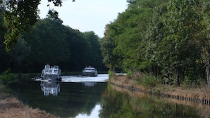 Un río con barcos y abundante vegetación a ambos lados.