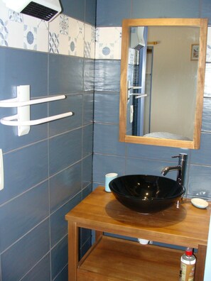 Shower, hair dryer, toilet paper