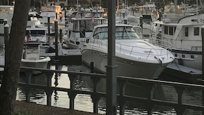 A marina with boats docked, a lamp post, and a building in the background. - Palmetto Dunes-Golf-Pickleball-Tennis- Beach! (Hilton Head Island)