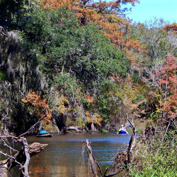 Un río rodeado de densa vegetación y terreno rocoso.