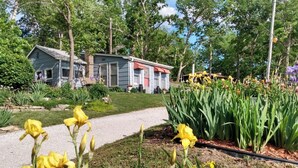 Un quartiere residenziale con una casa, un vialetto sterrato e un giardino con fiori gialli.