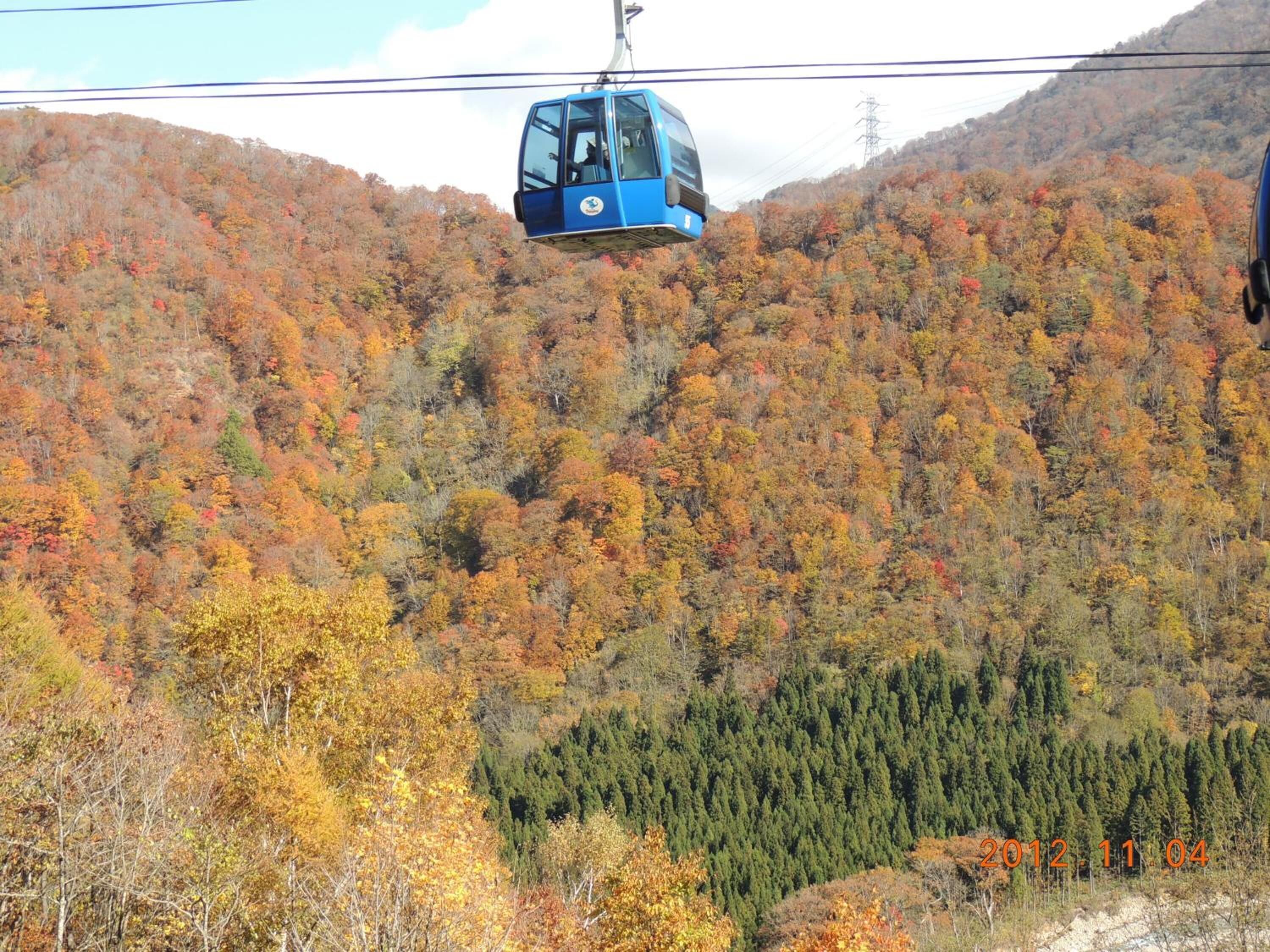 A cable car moving over a forested mountain with autumn foliage.