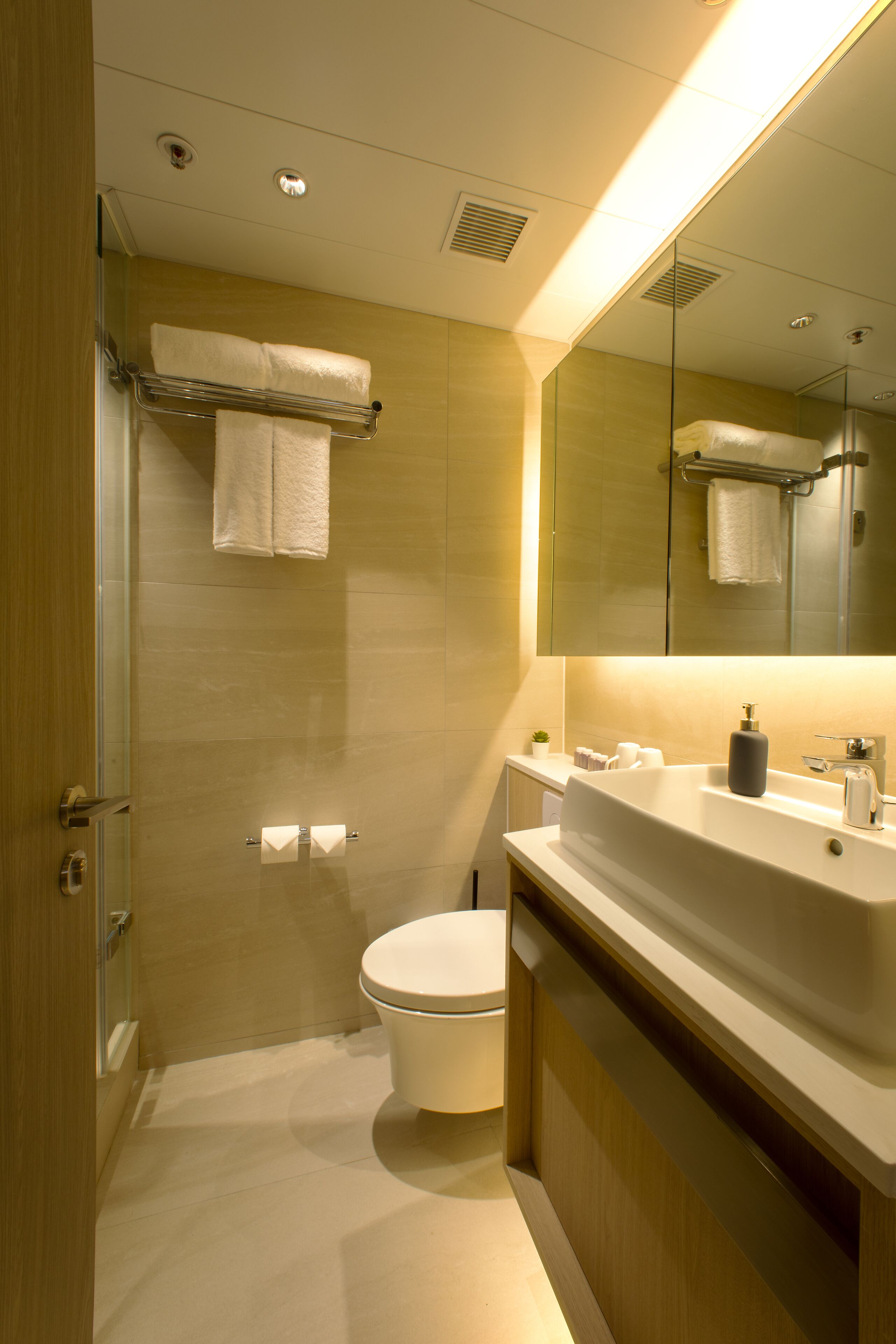 A modern bathroom with a glass shower enclosure, a white toilet, and a large mirror above the sink.