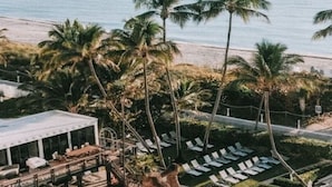 Ett semesterhotell vid stranden med palmer, ett poolområde och solstolar.