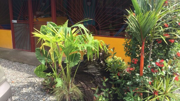 Front of property - Caribbean Comfort (Cahuita)