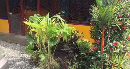 Caribbean Comfort