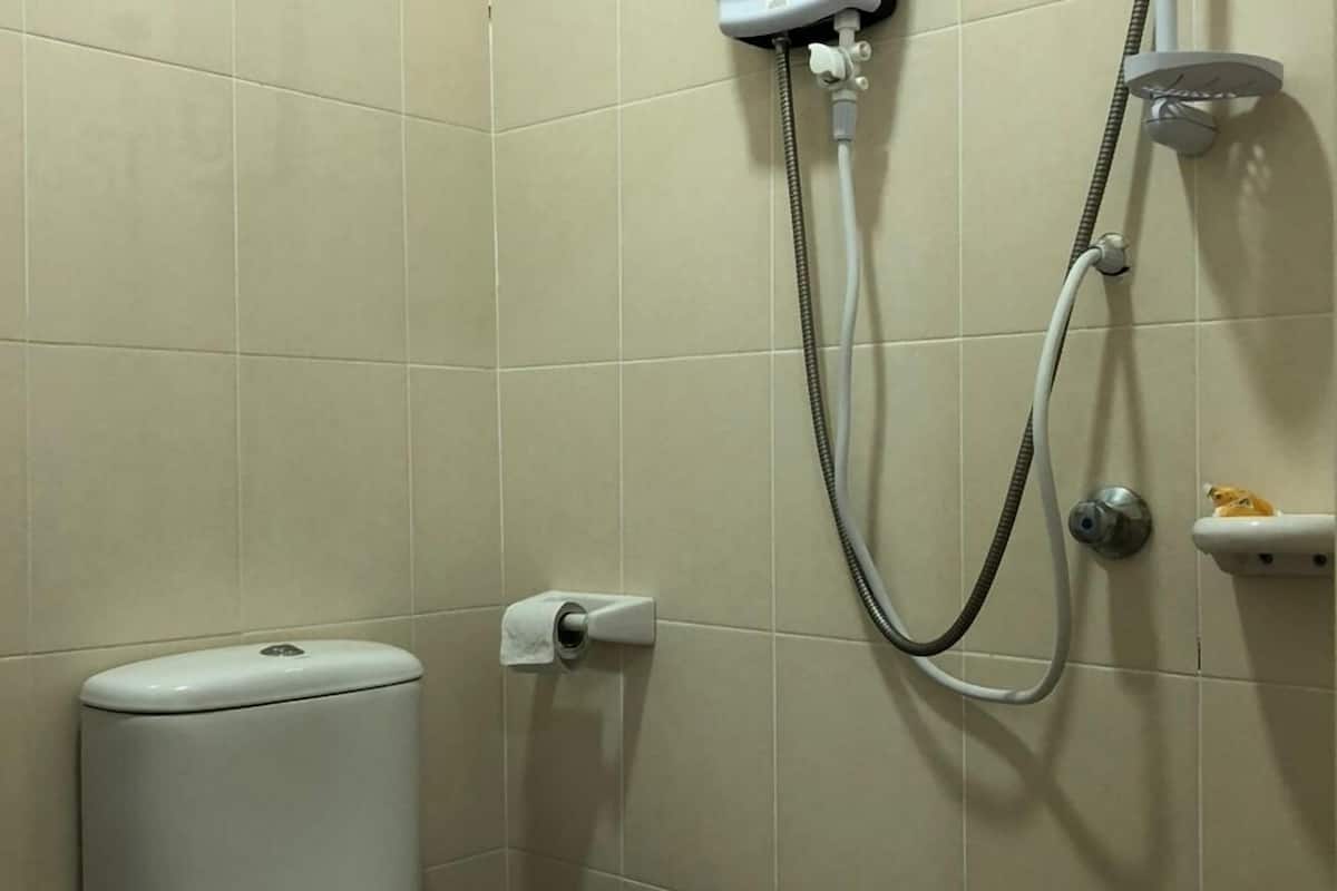 hair dryer, bidet, towels
