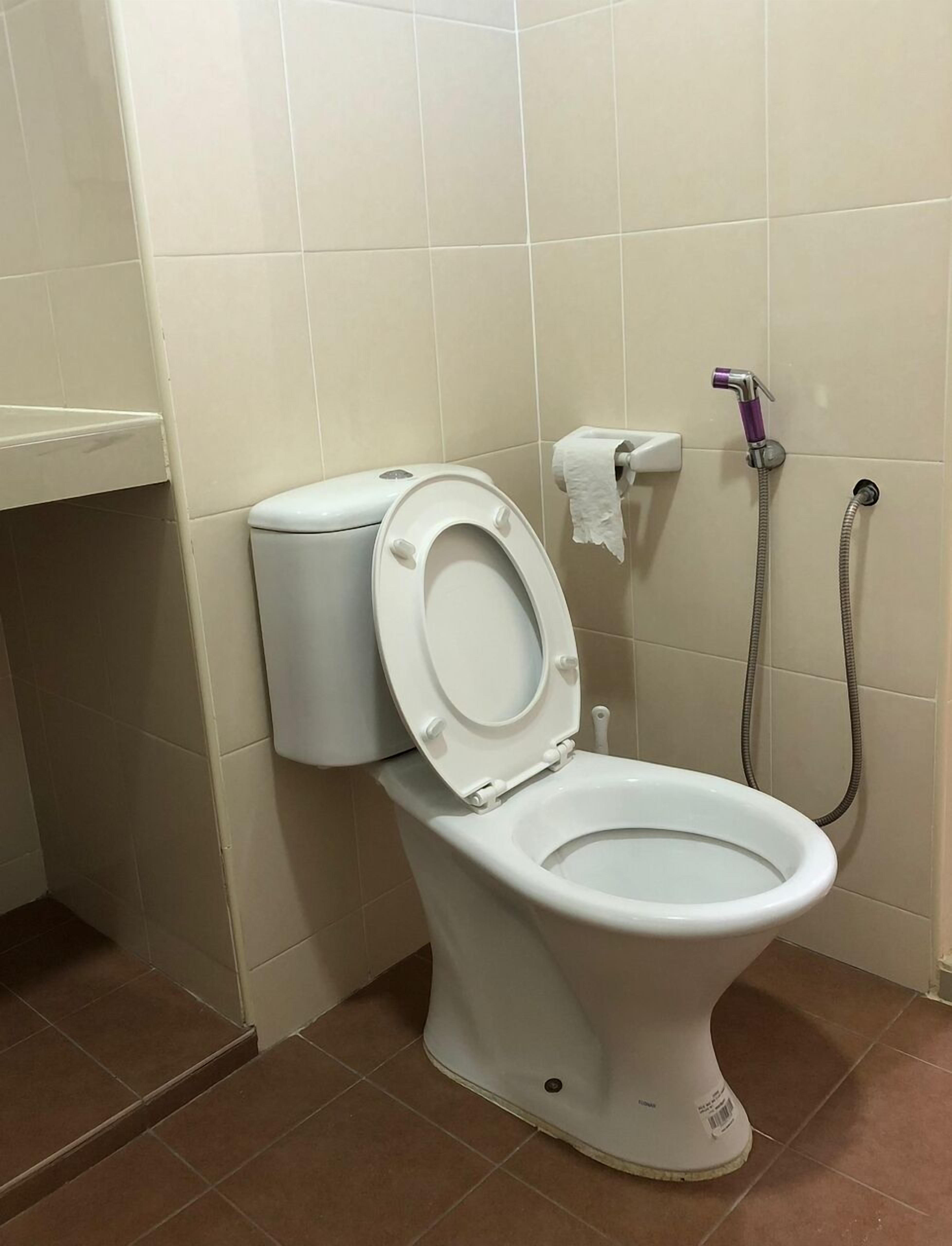 hair dryer, bidet, towels