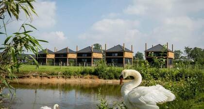 Camping Nieuw Romalo