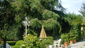 Ein Gartenbereich mit Blumentöpfen, Sitzgelegenheiten und einem Weg.