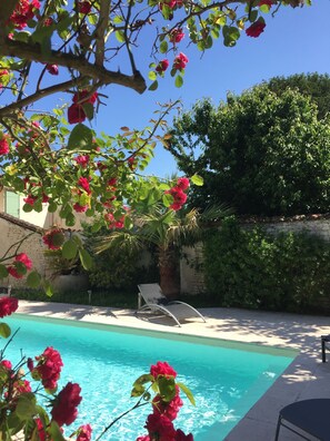 Seasonal outdoor pool, open 9:00 AM to 8:00 PM, pool loungers