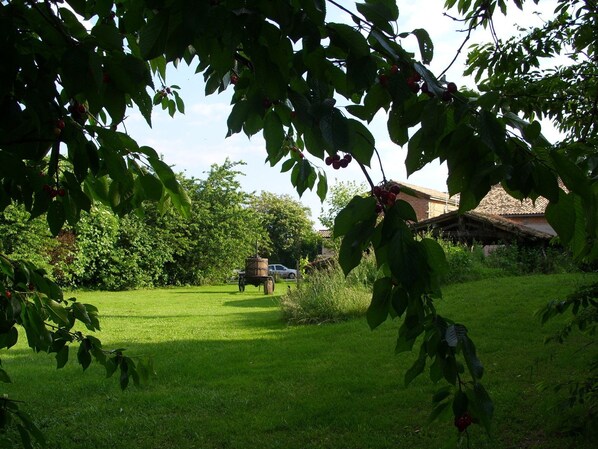 Garden - L'étable haute (Couthures-sur-Garonne)