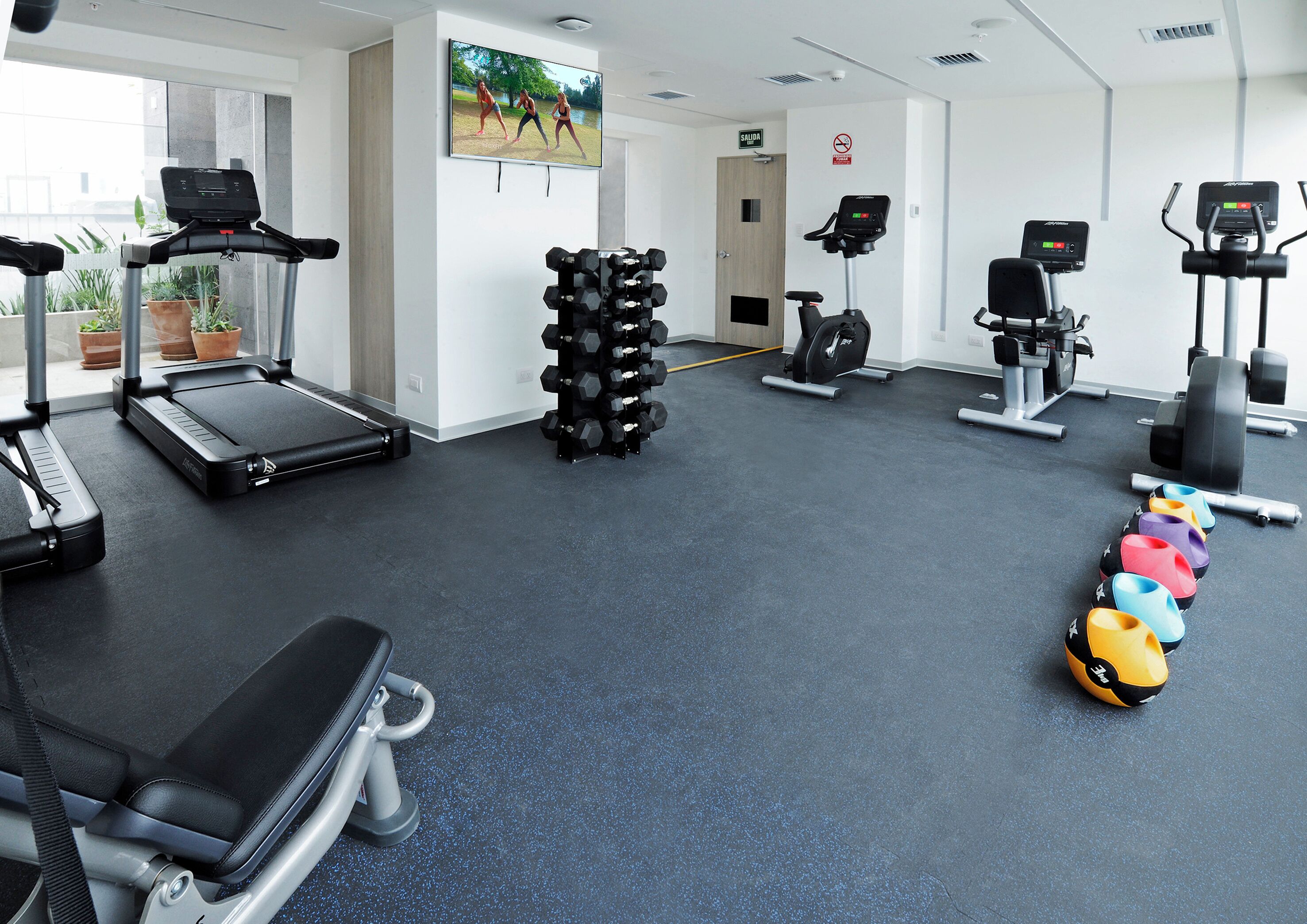 A gym with treadmills, dumbbells, and exercise balls.