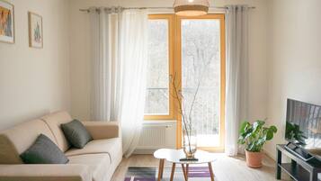 Premium Apartment, 1 Bedroom, Kitchen | Living area | TV