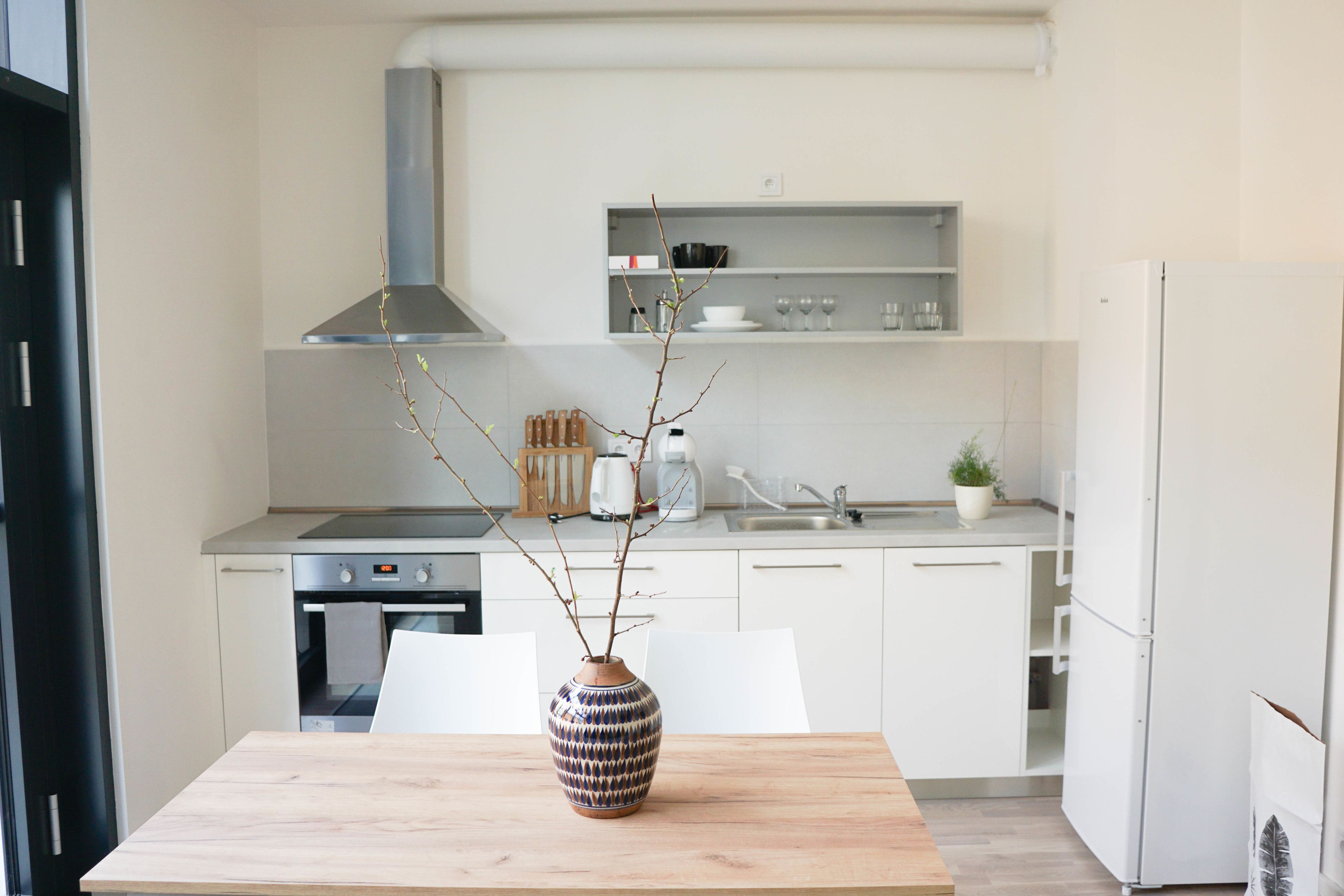 Fridge, oven, stovetop, electric kettle