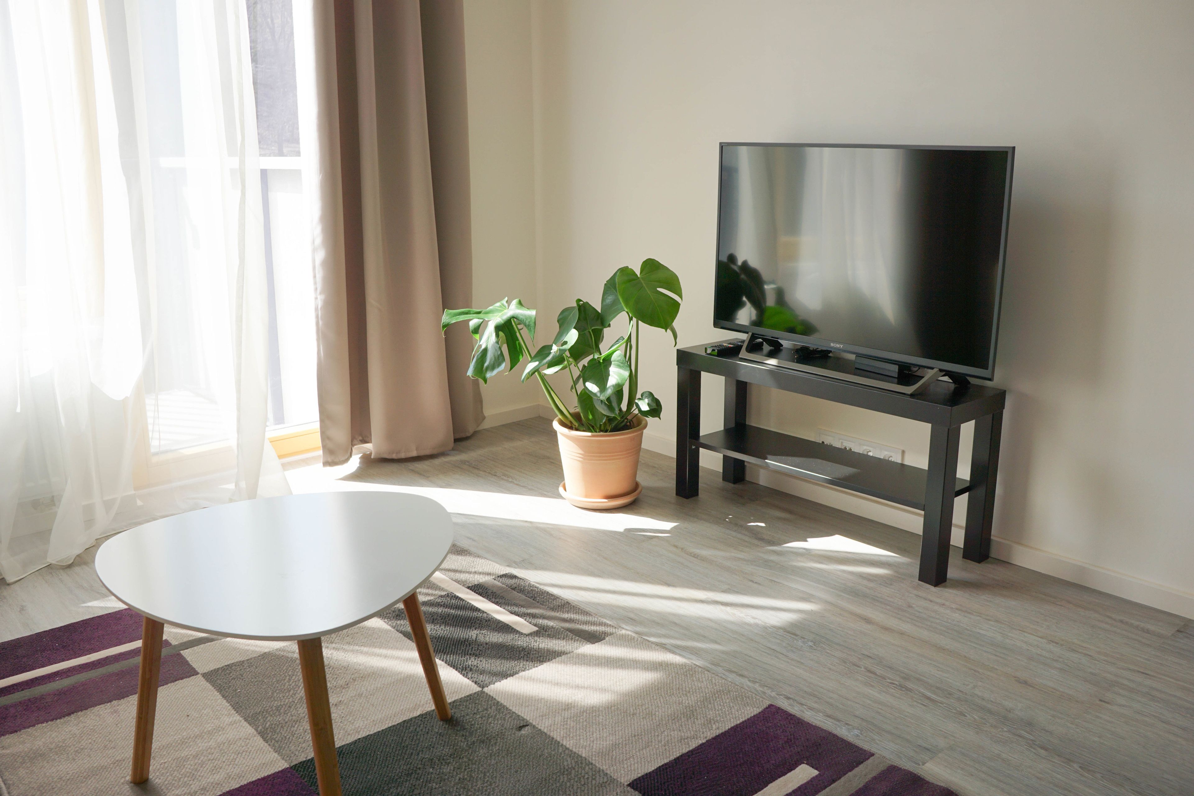 Premium Apartment, 1 Bedroom, Kitchen | Room amenity