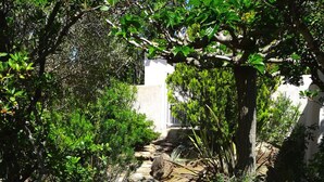 A narrow, rocky path surrounded by dense greenery and trees, leading towards a white building. - Résidence Stella d'Oro (Porto-Vecchio)