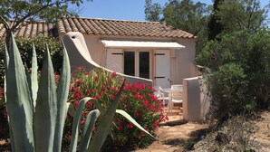 A small, single-story building with a tiled roof, a white exterior, and a door with a window. There are white plastic chairs outside, and a variety of plants, including large agave and flowering shrubs, in the foreground. - Résidence Stella d'Oro (Porto-Vecchio)
