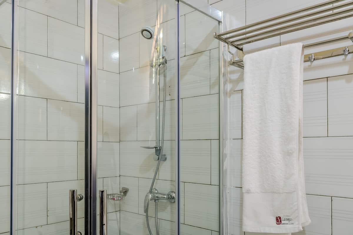 Shower, free toiletries, towels