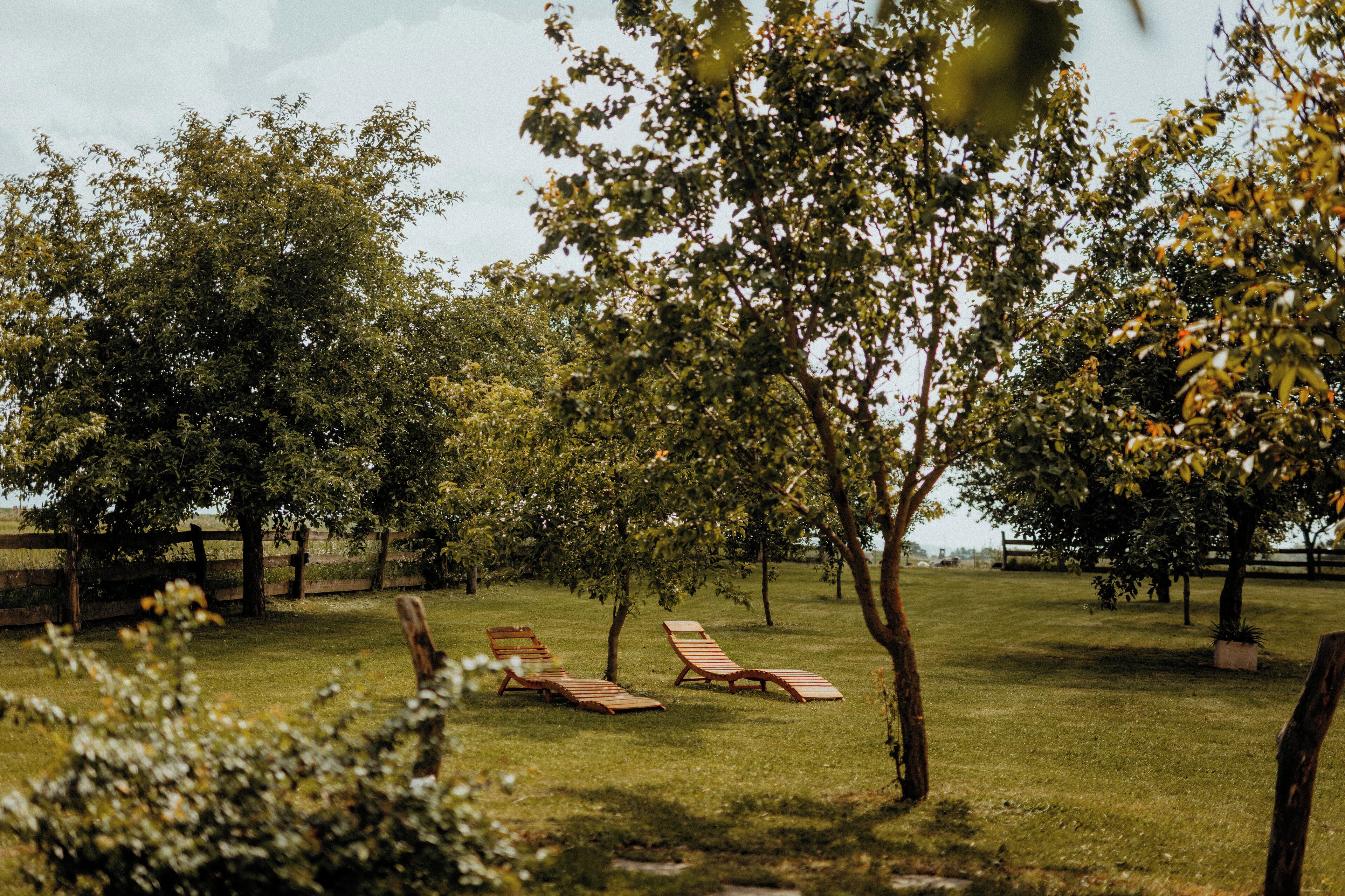 A grassy outdoor area with wooden chairs and a wooden fence.
